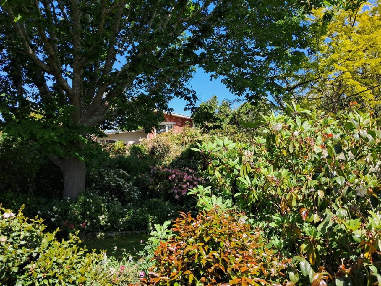 Niloc Bed and Breakfast Waimate Buitenkant foto